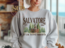Load image into Gallery viewer, Salvatore , It's Ok To Love Them Both 1864, sweatshirt
