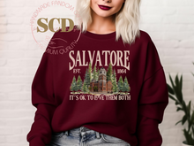 Load image into Gallery viewer, Salvatore , It's Ok To Love Them Both 1864, sweatshirt