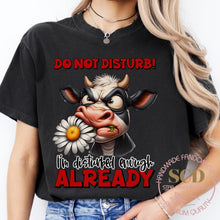 Load image into Gallery viewer, Do Not Disturb, I’m Disturbed Enough ALREADY, T-shirt